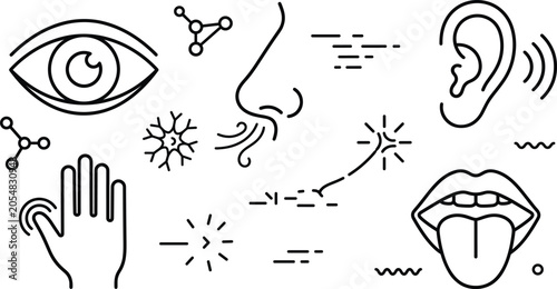 Foto Five human senses vector icon set featuring eye nose ear hand tongue neuron and