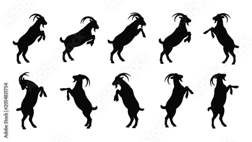 Bild auf Leinwand goat silhouettes in various poses on white background silhouette animal farm wil