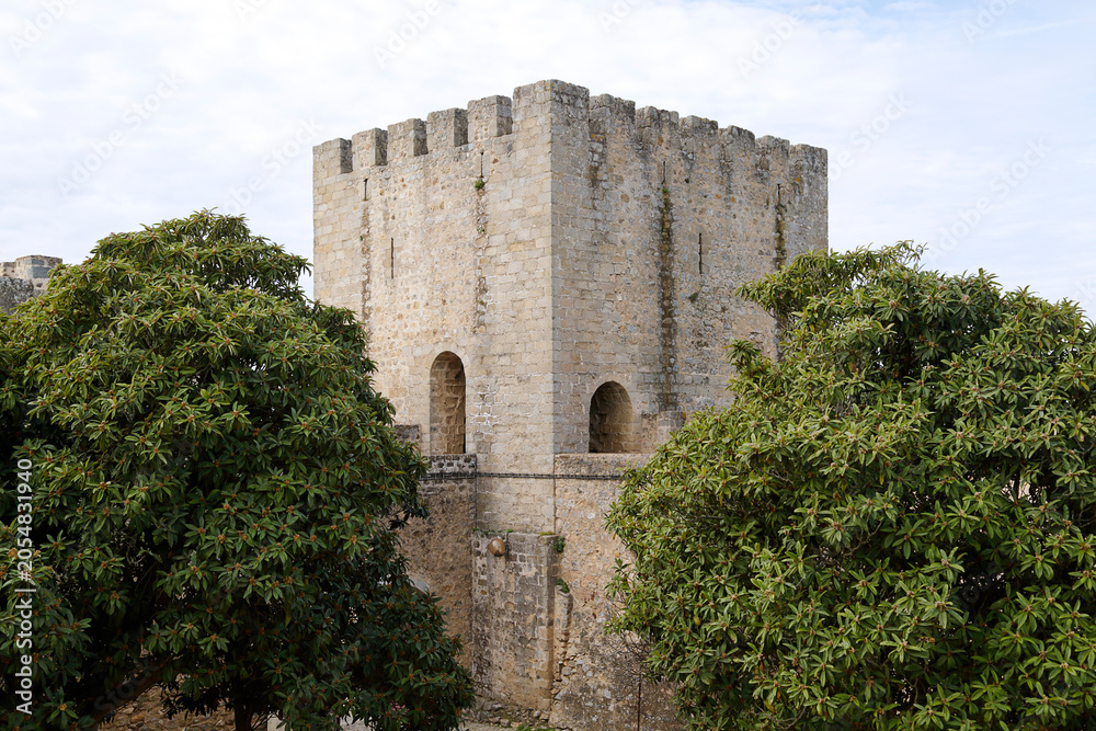 Obraz premium The medieval stone keep and battlements of Elvas Castle surrounded by lush green trees in the historic garrison border town of Elvas, Alentejo region, Portugal.
