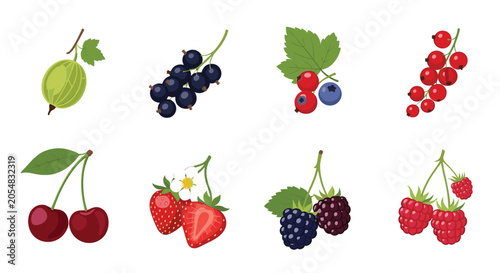 Colorful collection of eight different berry types including strawberries, cherries, blackberries, and currants with leaves and stems.