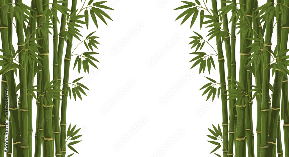 Fototapeta premium Adobe Illustrator Artwork