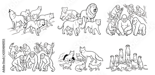 Photography Wild animal family coloring pages, 6 vector line art scenes, safari and forest w