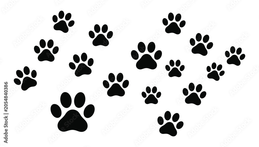Fototapeta premium Paw prints on white background, cute animal footprints for design.
