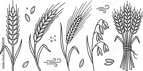 Фотография Wheat ear vector icon set featuring organic barley rye grain stalks agriculture