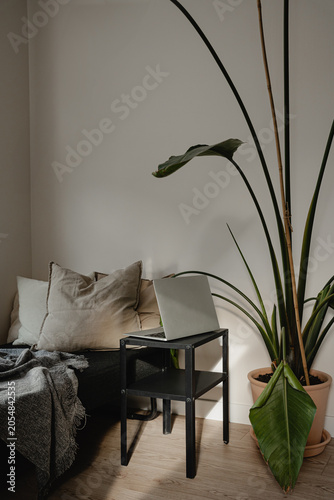 Plant in Minimalist Interior with Natural Light. Cozy Minimalist Living Room with Greenery and Natural Tones