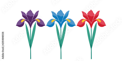 Purple iris flowers vector illustration with green leaves isolated on white background.