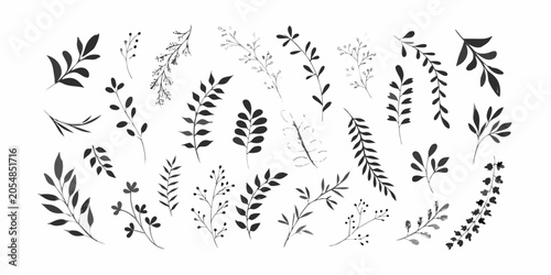 Tableau sur toile Foliage Silhouette Set Against White Background Botanical Illustration