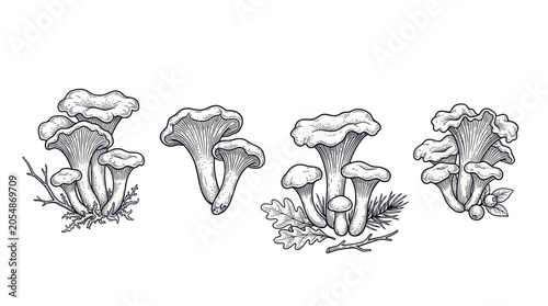 Bild auf Leinwand Chanterelle mushrooms set with forest leaves and moss in line art