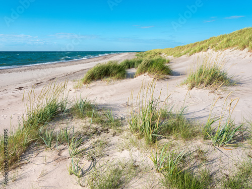 Unberührter Strand mit weißem Sand und Strandgras in der Kernzone des Nationalpark Vorpommersche Boddenlandschaft, Mecklenburg-Vorpommern, Deutschland