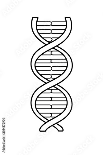 DNA Structure Educational Biology Illustration Isolated on White Background