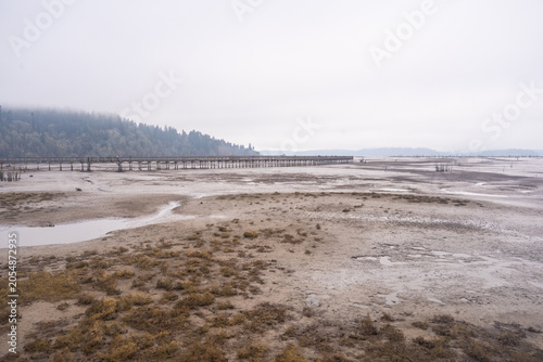 Mudflats and pier on a foggy day