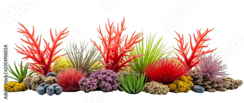 Vibrant Artificial Coral Reef Decorations and Sea Anemones on Rocks, Isolated on Transparent Background