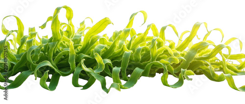 Vibrant Lime Green Artificial Kelp and Ribbon Seaweed Cluster, Isolated on Transparent Background