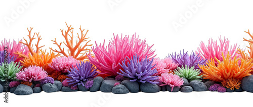 Vibrant Colorful Artificial Coral and Sea Anemones with Stones Isolated on Transparent Background