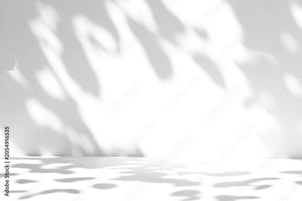 Obraz premium Tree leaf shadow overlay on the wall and floor isolated on a transparent background PNG