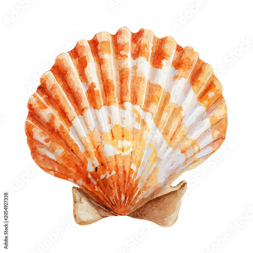 Bild auf Leinwand Scallop watercolor artwork, high-quality professional vector illustration isolated on a white background