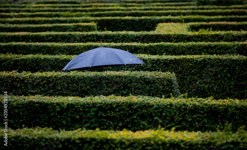 Lost in the Maze