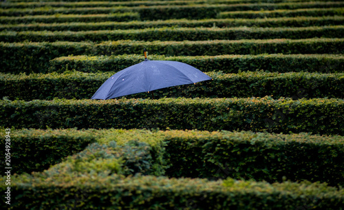 Lost in the Maze