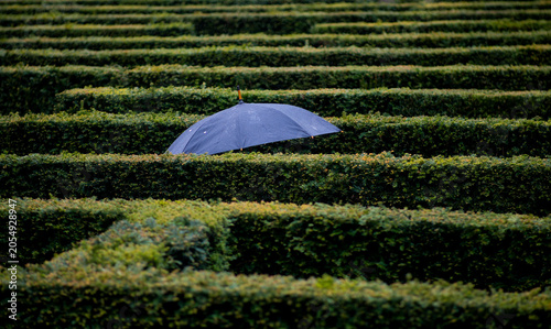 Lost in the Maze