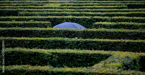 Lost in the Maze