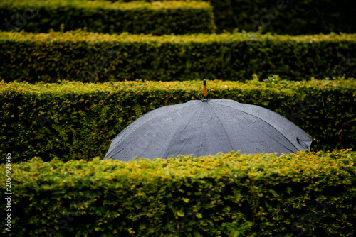 Lost in the Maze