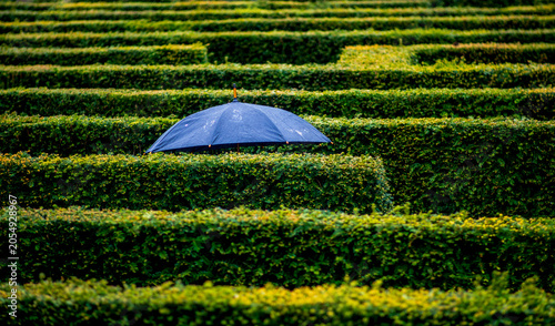Lost in the Maze