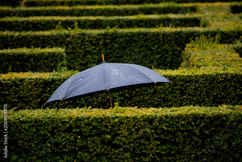 Lost in the Maze