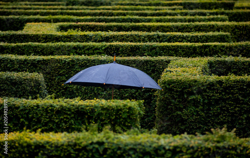 Lost in the Maze