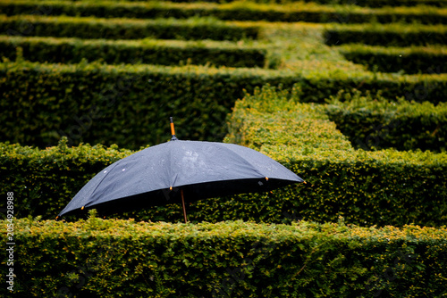 Lost in the Maze