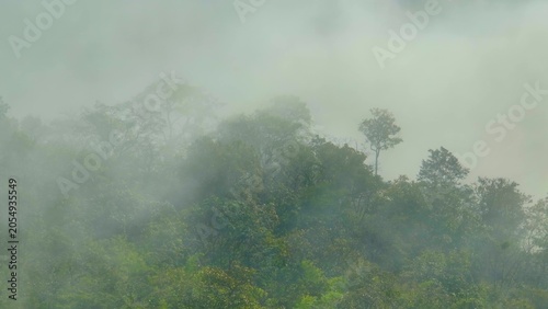 Fotografia Aerial view from a drone capturing forest and rolling fog