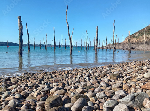 Schilderij op canvas Alignment of ancient wooden mooring posts at Gwin Zegal traditional port, Britta