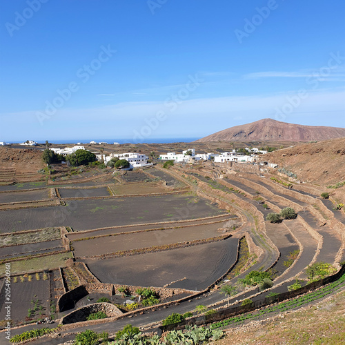 Photos Guiguan Caldera valley with traditional volcanic terraced fields, Island Lanzarote, Canary Islands, Spain, Europe