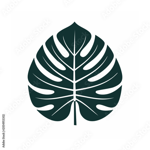 Monstera Leaf Vector Graphic