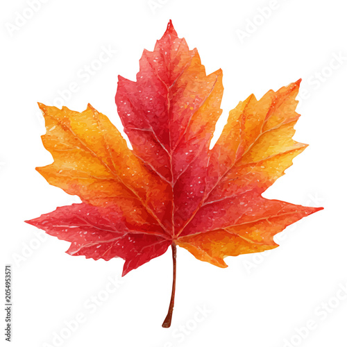 Fotografie Maple Leaf watercolor artwork, high-quality professional vector illustration isolated on a white background