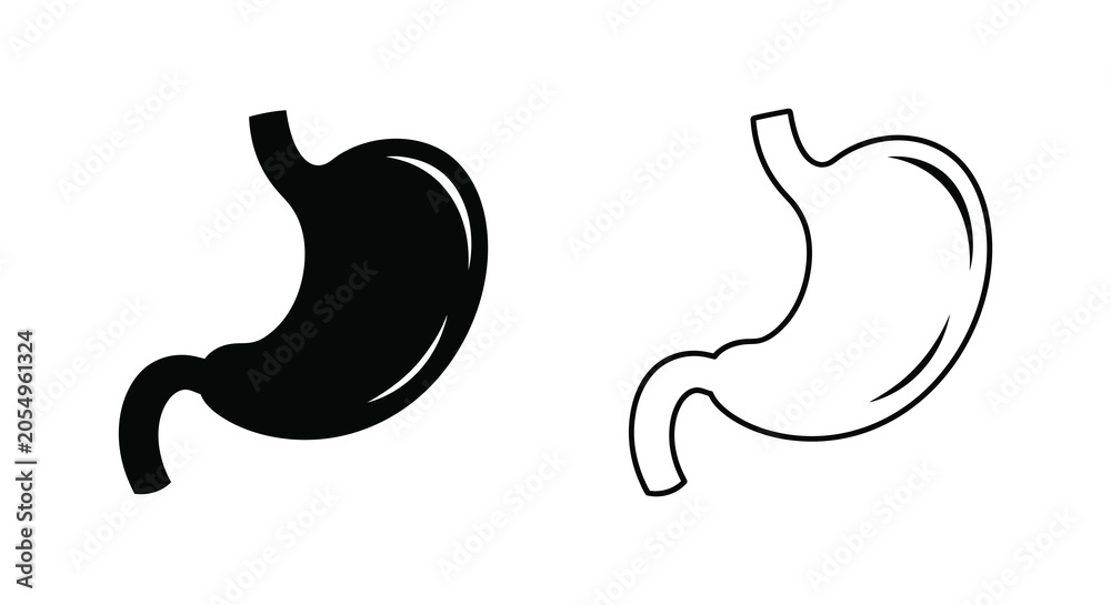 Fototapeta premium Human stomach anatomy illustration with solid and outline versions medical diagram silhouette