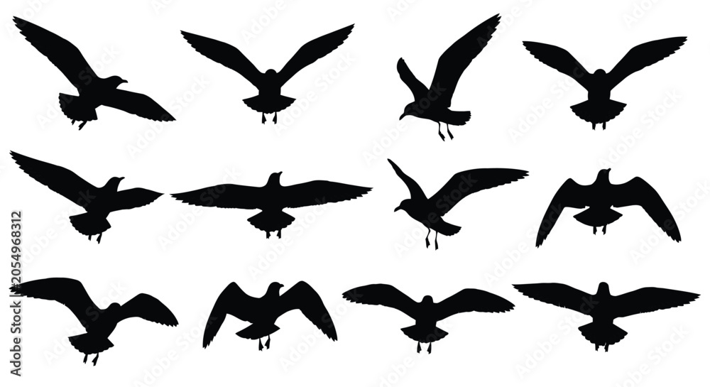 Fototapeta premium Seagull Silhouettes In Flight Black Shapes On White Background avian
