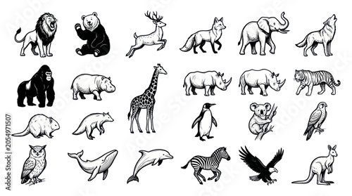 Canvas Print Collection of Hand-Drawn Wildlife Animals Vector Illustrations