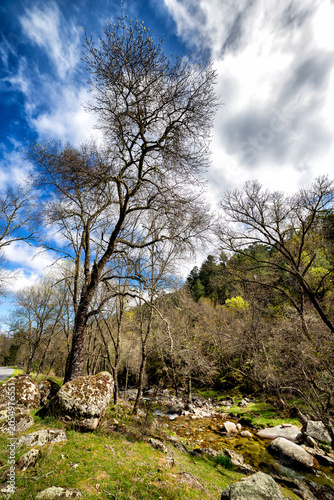 Primavera en el Valle de Iruelas