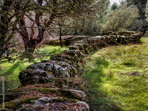 Valla de piedras en el Valle del Tietar
