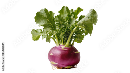 Foto Isolated fresh whole organic purple kohlrabi vegetable with vibrant green leaves a crisp studio shot
