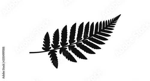 Black Silhouette of a Fern Leaf.