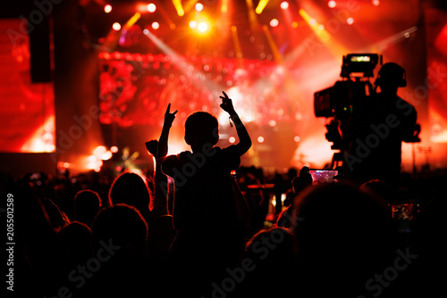 Silhouette of Child on Shoulders at Music Festival
