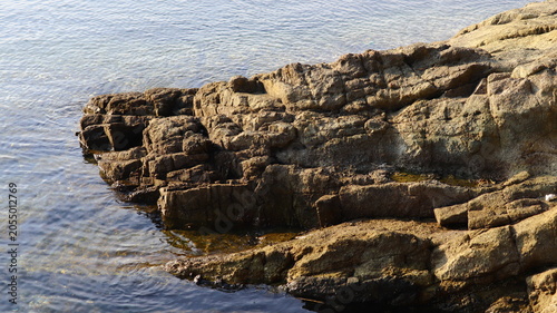 Εκτύπωση καμβά Geodiversity of Coastal Rocks: Detailed Texture and Calm Ocean Water for Environ
