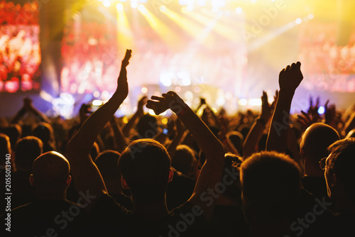 Large Audience Clapping and Cheering at Bright Music Show