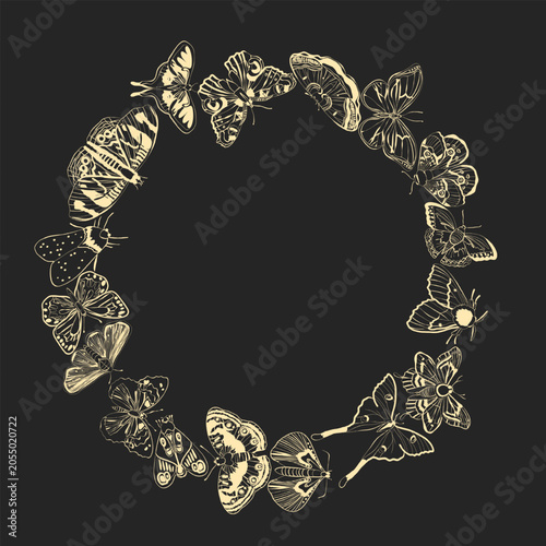 Round frame with butterflies, vector illustration
