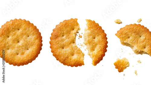Billede på lærred Isolated crispy golden savory crackers whole, broken, and bitten with crumbs, delicious snack