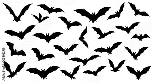 Fotografie set of bats