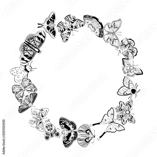 Round frame with butterflies, vector illustration
