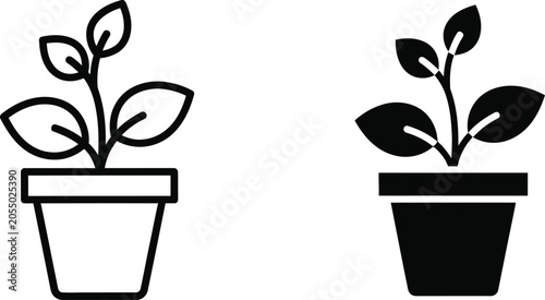 Two potted plants with different leaf styles