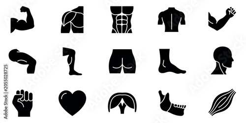 Anatomy icon set editable vector illustration human body parts muscles organs limbs graphics